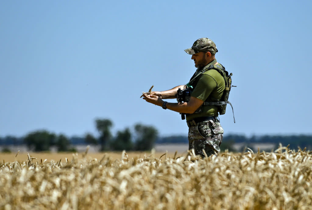 Harvesting crops in Zaporizhzhia Region