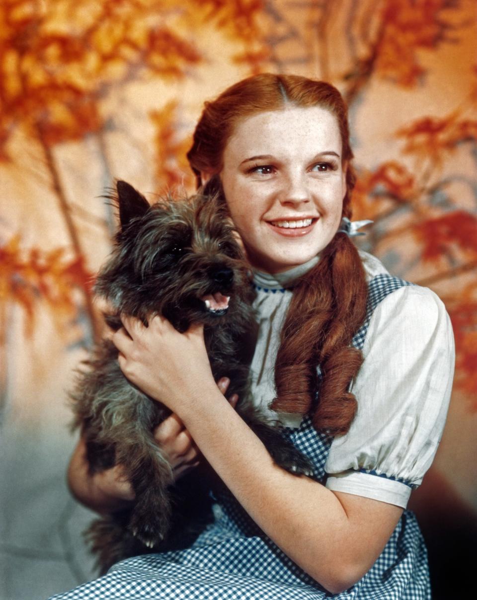 Garland and Terry, the dog who played Toto, in a promotional photo for <em>The Wizard of Oz</em> in 1939