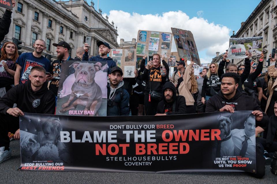 London, UK. 23rd Sep, 2023. After the announcement of the ban on XL Bullies in the UK, a wave of XL Bully owners has taken to the streets to passionately voice their opposition to this new legislation. These protesters are driven by concerns over their beloved pets and the potential impact of the ban on responsible ownership. They believe that blanket restrictions fail to distinguish between responsible owners and those who engage in irresponsible breeding or mistreatment, 23/09/2023 Ehimetalor Unuabona/Alamy Live News Credit: Ehimetalor Unuabona/Alamy Live News