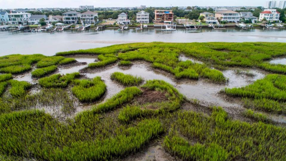 A drone photograph shows salt marsh in relation to development in Wrightsville Beach, Wednesday, Aug 18, 2021. Salt marshes in North Carolina are being pushed back by rising sea waters, but aren’t always able to retreat due to coastal development, leaving them to shrink.