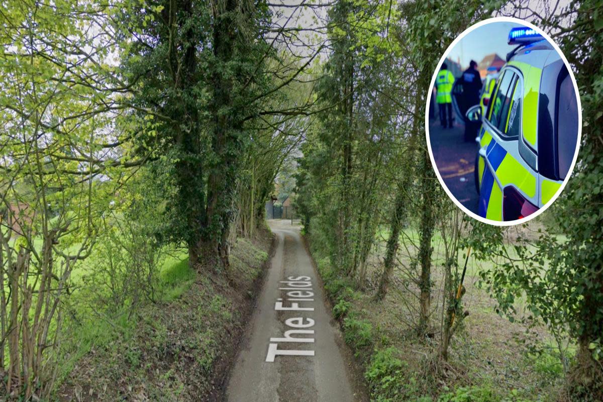 A teenage girl has been arrested after she assaulted another teenage girl in The Fields in Hingham <i>(Image: Google Earth)</i>