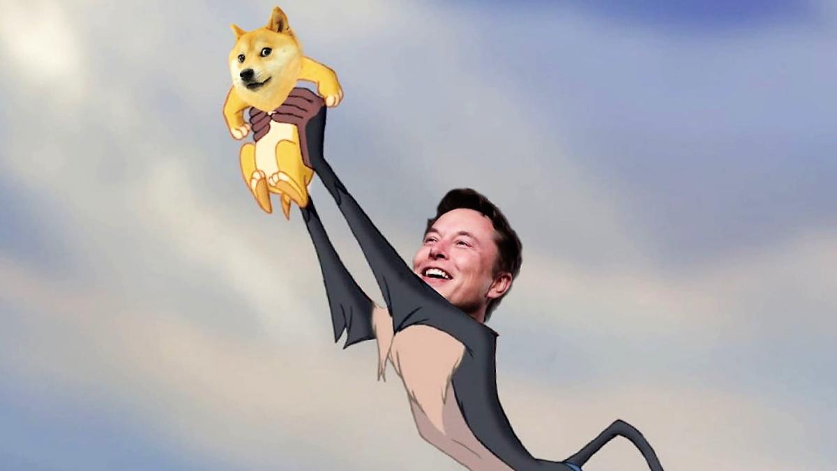 Elon Musk pumps Dogecoin amid lawsuit