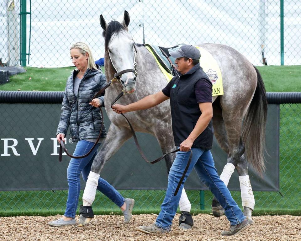 Rocket Can takes part in paddock schooling at Churchill Downs on Tuesday. Trainer Famer Bill Mott will put blinkers on Rocket Can for the Kentucky Derby.