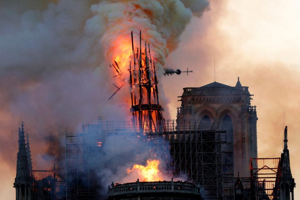 Notre Dame latest: 180,000 bees living in hives in cathedral's roof found alive after inferno