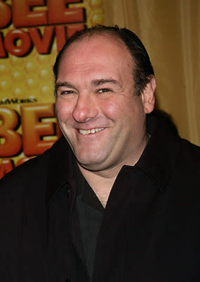  Premiere: <a href="/movie/contributor/1800018582" data-ylk="slk:James Gandolfini;elm:context_link;itc:0;sec:content-canvas" class="link ">James Gandolfini</a> at the New York City premiere of DreamWorks Pictures' <a href="/movie/1809419836/info" data-ylk="slk:Bee Movie;elm:context_link;itc:0;sec:content-canvas" class="link ">Bee Movie</a> - 10/25/2007<br>Photo: <a href="http://www.wireimage.com" rel="nofollow noopener" target="_blank" data-ylk="slk:Jim Spellman, WireImage.com;elm:context_link;itc:0;sec:content-canvas" class="link ">Jim Spellman, WireImage.com</a>