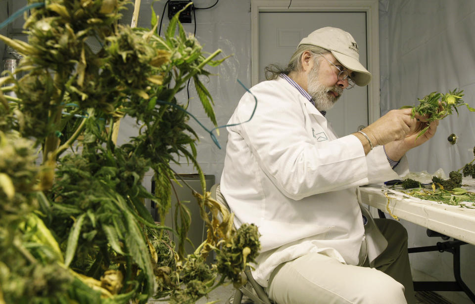 Jake Dimmock, co-owner of the Northwest Patient Resource Center medical marijuana dispensary, prepares medical marijuana for distribution to patients, Wednesday, Oct. 10, 2012, in Seattle. Washington state is on the verge of becoming the first in the nation to let adults over 21 buy taxed, inspected marijuana at state-licensed shops. Supporters of Initiative 502 say allowing recreational pot sales could make drug laws a little more reasonable, prevent thousands of arrests a year, and bring Washington hundreds of millions of dollars to help pay for schools, health care and basic government services. (AP Photo/Ted S. Warren)