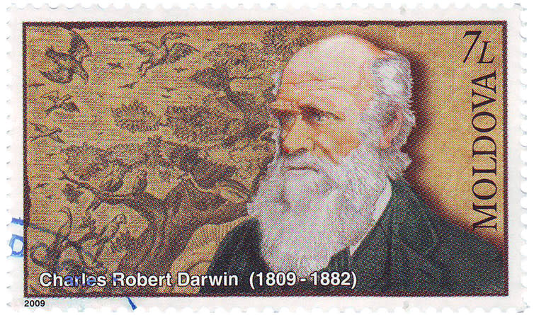 <span class="caption">Charles Darwin’s On The Origin of Species, published in 1859, changed the way we look at the world.</span> <span class="attribution"><a class="link " href="https://www.shutterstock.com/image-photo/moldova-circa-2009-stamp-printed-shows-183793595" rel="nofollow noopener" target="_blank" data-ylk="slk:Shutterstock;elm:context_link;itc:0;sec:content-canvas">Shutterstock</a></span>
