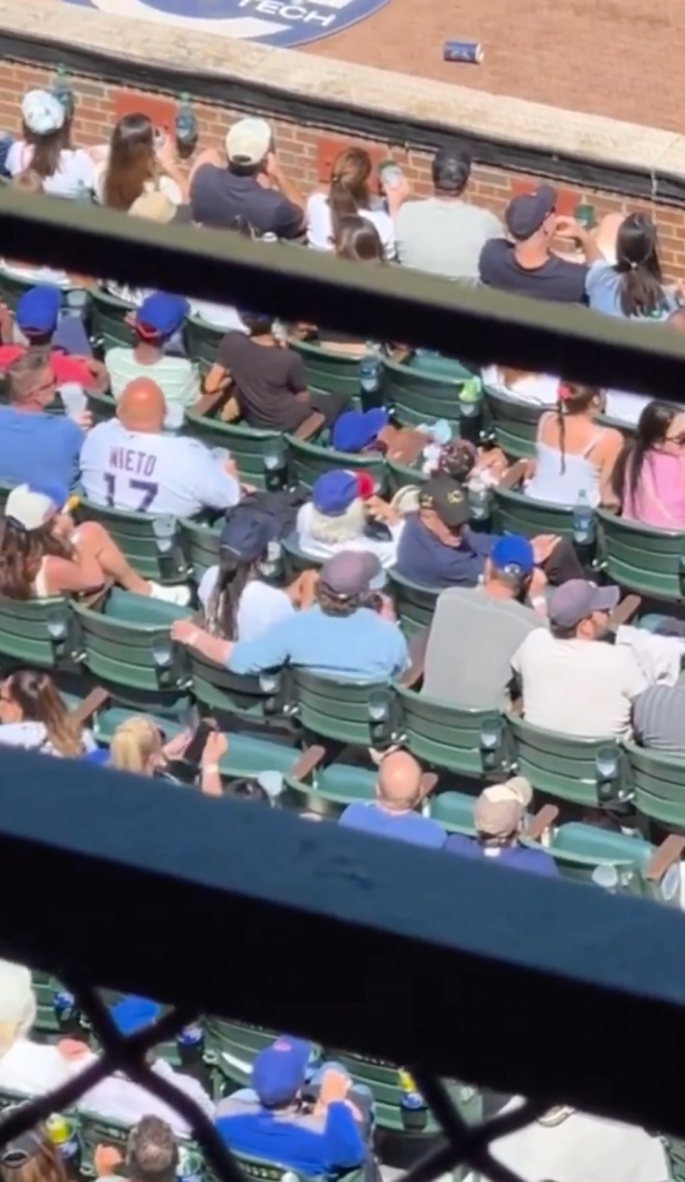 Fan captures Ayo Edebiri and Jeremy Allen White sitting close at baseball game (TikTok @whatever3165)