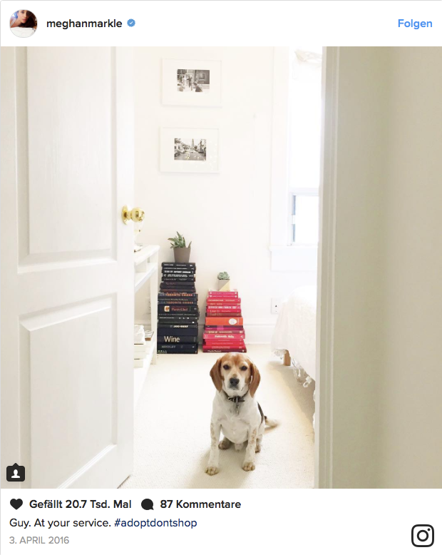 <p>Dank Guy, den Meghan aus einem Tierheim hat, dürfen wir noch einmal einen kleinen Blick in das Schlafzimmer der Schauspielerin werfen. Und dabei sticht sofort ins Auge, dass Harrys Freundin ihre Bücher nach Farbe sortiert. Warum nicht? Sieht ja ganz gut aus. (Bild: Instagram/Meghan Markle) </p>