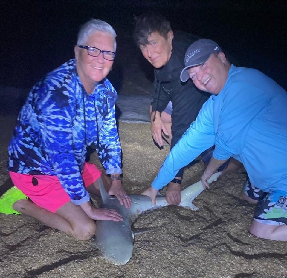 This trio of new shark anglers from Oklahoma (Nancy, Darla and Becky) brought this blacknose to shore with the help of NSB Shark Hunters.