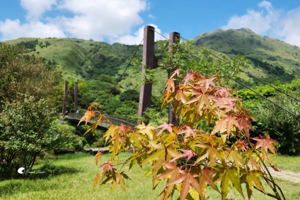 台北冷擎步道