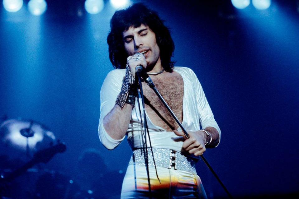 <p>Fin Costello/Redferns</p> Freddie Mercury