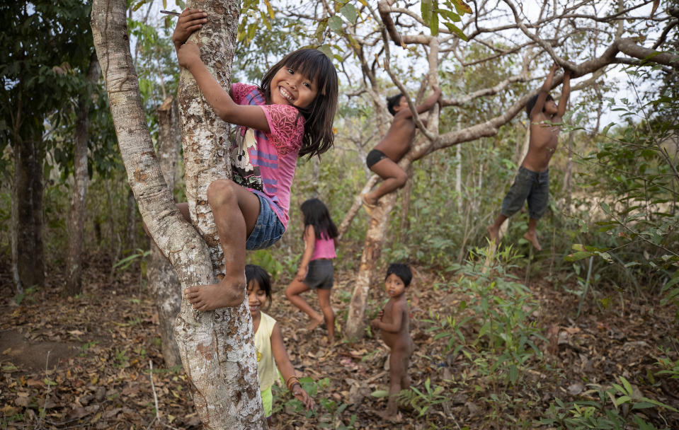 In this Aug. 26, 2019 photo, children of the Nambikwara Sarare tribe climb trees as they play in their indigenous reserve in the southwestern Amazon, near Conquista D'Oeste, in the Brazilian state of Mato Grosso. About 98% of all Brazil’s indigenous lands lie within the Amazon. (AP Photo/Andre Penner)