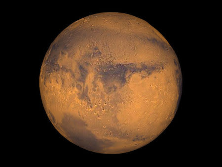 FILE PHOTO: The planet Mars showing showing Terra Meridiani is seen in an undated NASA image. REUTERS/NASA/Greg Shirah/Handout