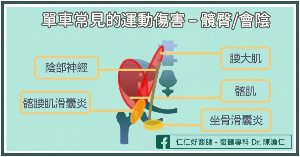 單車運動傷害3：髖臀、會陰