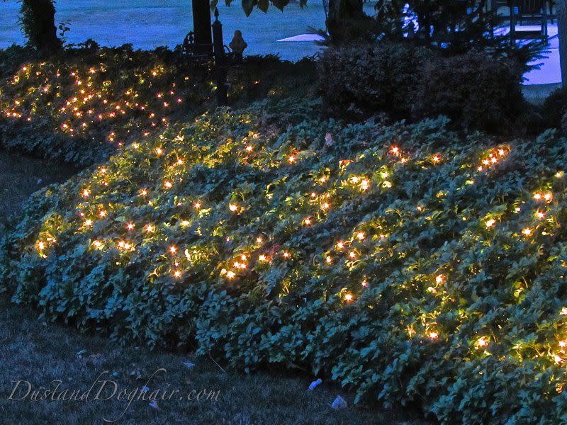 <p>Pachysandra, english ivy, and other dense, sturdy plants work best for adding lights to your garden landscape, according to this blogger, who used incandescent string lights to give her garden a lovely glow.</p><p><strong>Get the tutorial at <a href="https://dustanddoghair.com/" rel="nofollow noopener" target="_blank" data-ylk="slk:Dust And Doghair;elm:context_link;itc:0;sec:content-canvas" class="link ">Dust And Doghair</a>.</strong></p><p><strong><a class="link " href="https://www.amazon.com/Beams-G40-Globe-Bulb-Incandescent/dp/B07TJJTYH4/ref=sr_1_1_sspa?tag=syn-yahoo-20&ascsubtag=%5Bartid%7C10050.g.3404%5Bsrc%7Cyahoo-us" rel="nofollow noopener" target="_blank" data-ylk="slk:Shop Incandescent String Lights;elm:context_link;itc:0;sec:content-canvas">Shop Incandescent String Lights</a><br></strong></p>