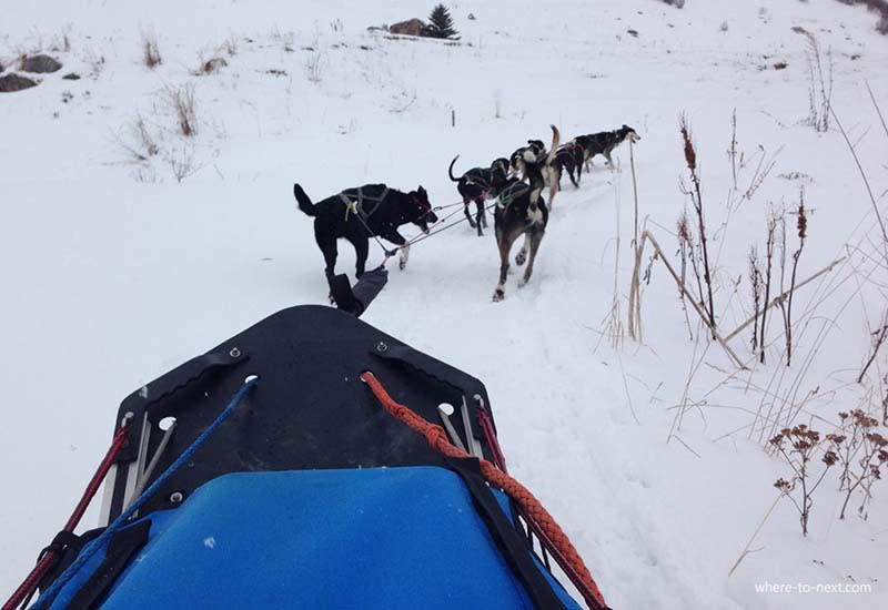 Go dog sledding. Dog sledding is now available at a number of French mountain resorts, including Megeve and Val d’Isere.