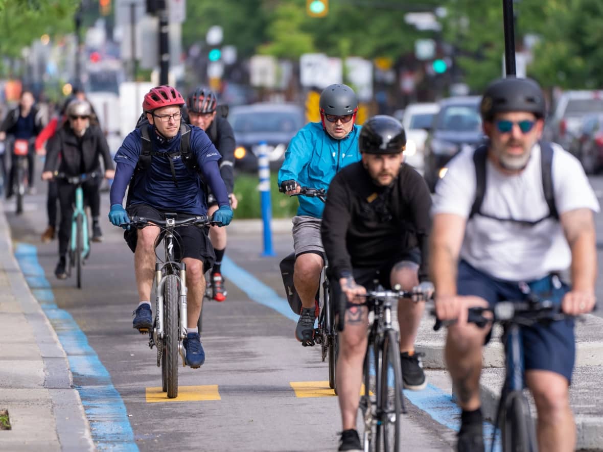 Cyclists make their way down the REV, Réseau Express Vélo, on St-Denis street during the morning commute in Montreal last summer. (Paul Chiasson/The Canadian Press - image credit)