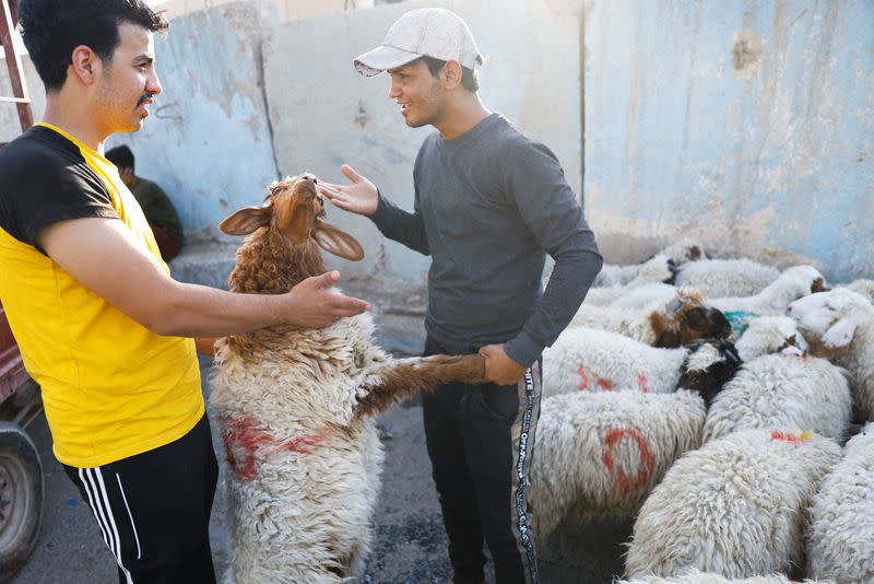 An Iraqi vendor shows a sacrificial sheep to a customer at a livestock market, ahead of the Eid al-Adha festival, in Baghdad,