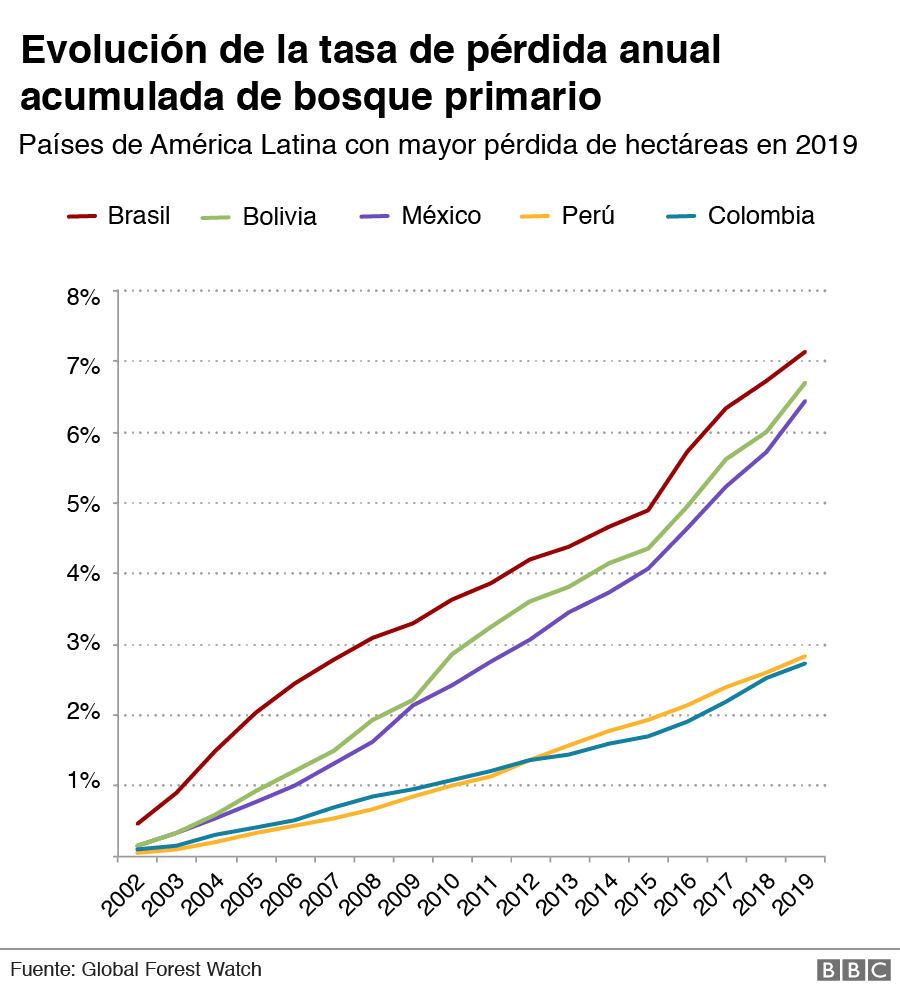 Evolución de la tasa de pérdida anual acumulada de bosque primario