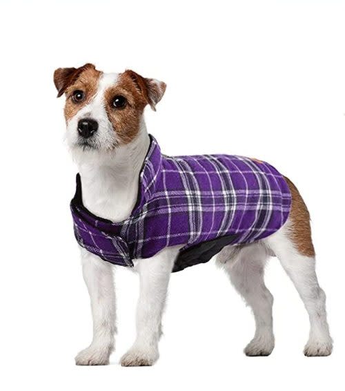 Reversible dog vest, British style dog vest, small dog sweaterg