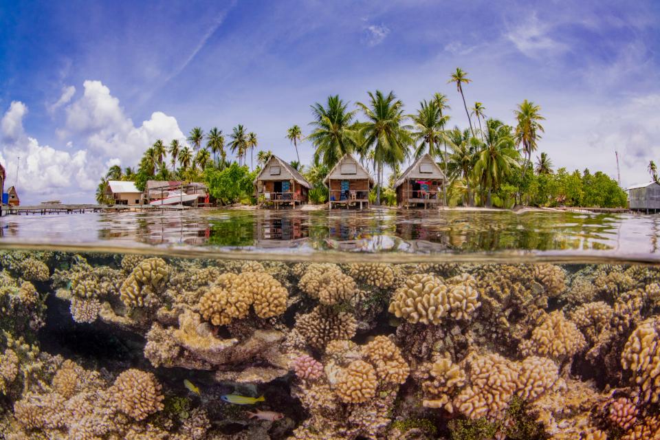 "Paradise" by Taeyup Kim. A coral reef beneath the water's surface in French Polynesia.