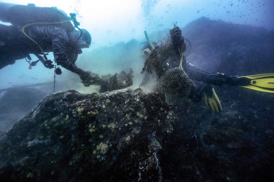 <p>Los buzos que retiran estas redes de pesca del mar pertenecen a la ONG Environmental Justice Foundation (EJF), que ha lanzado un proyecto llamado Net Free Seas. (Foto: Lillian Suwanrumpha / AFP / Getty Images).</p> 