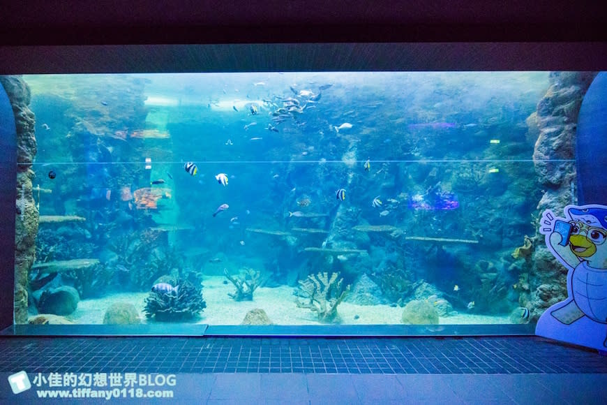 澎湖水族館