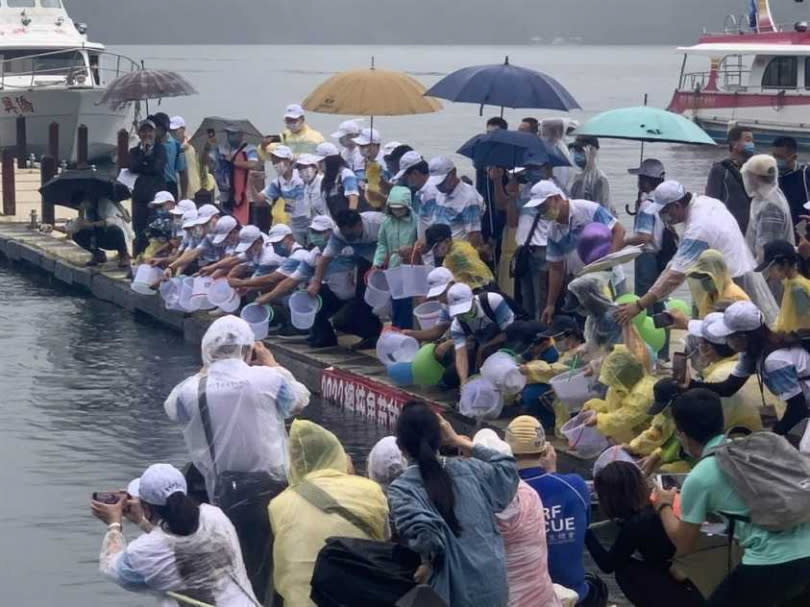 日月潭萬人泳渡，放流魚苗。（圖／中國時報廖志晃攝）