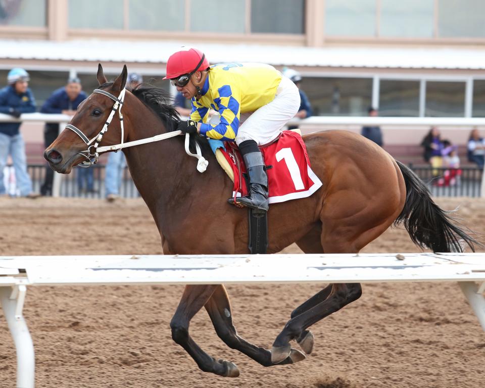 Flying Connection will run in the Sunland Oaks for trainer Todd Fincher on Sunday at Sunland Park Racetrack &  Casino.