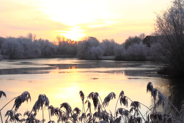 Lodge Lake Frost