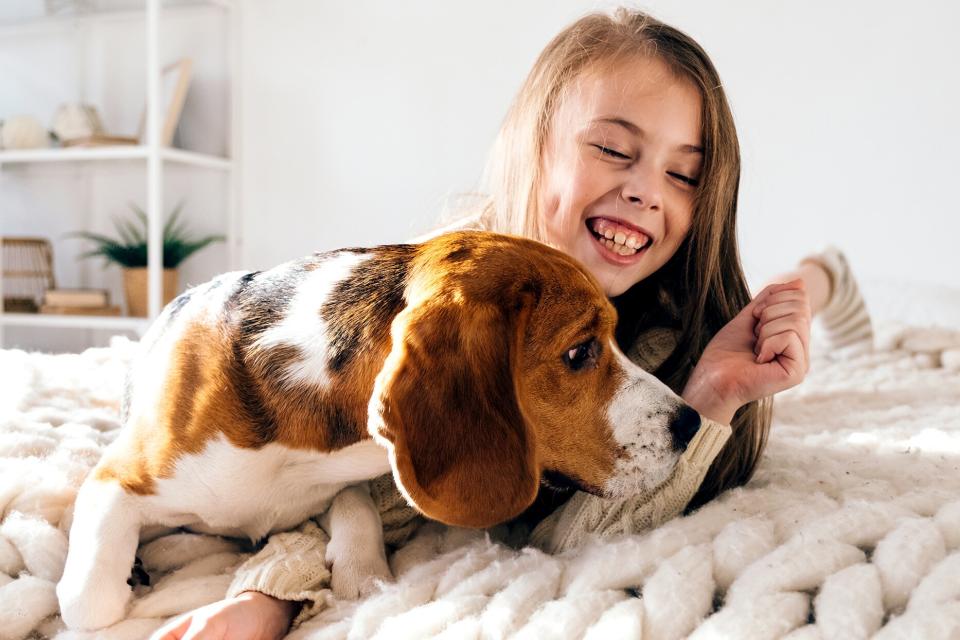 Girl with beagle dog