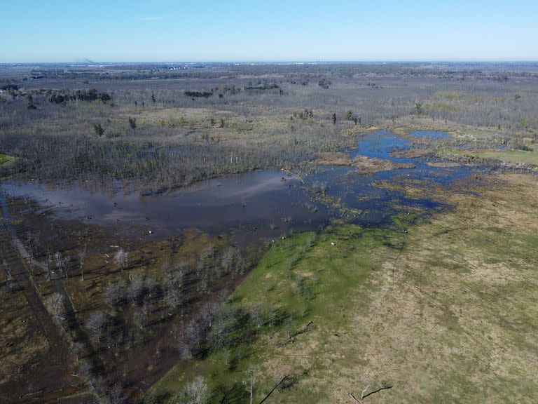 La mayor biodiversidad se concentra en la laguna de la reserva con 128 especies diferentes de aves, una variedad de mariposas, anfibios y coipos