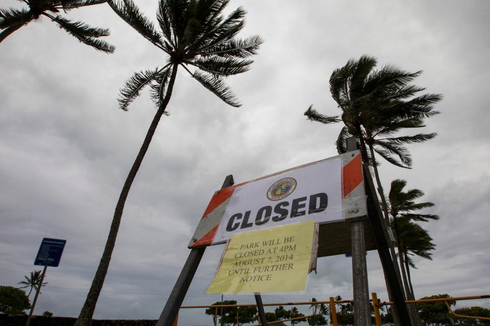 In this Aug. 8, 2014 file photo, winds from Tropical Storm Iselle blow palm trees near a sign warning of the closure of Kualoa Regional Park in Honolulu.