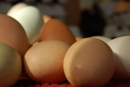 Eggs don't actually need to be refrigerated