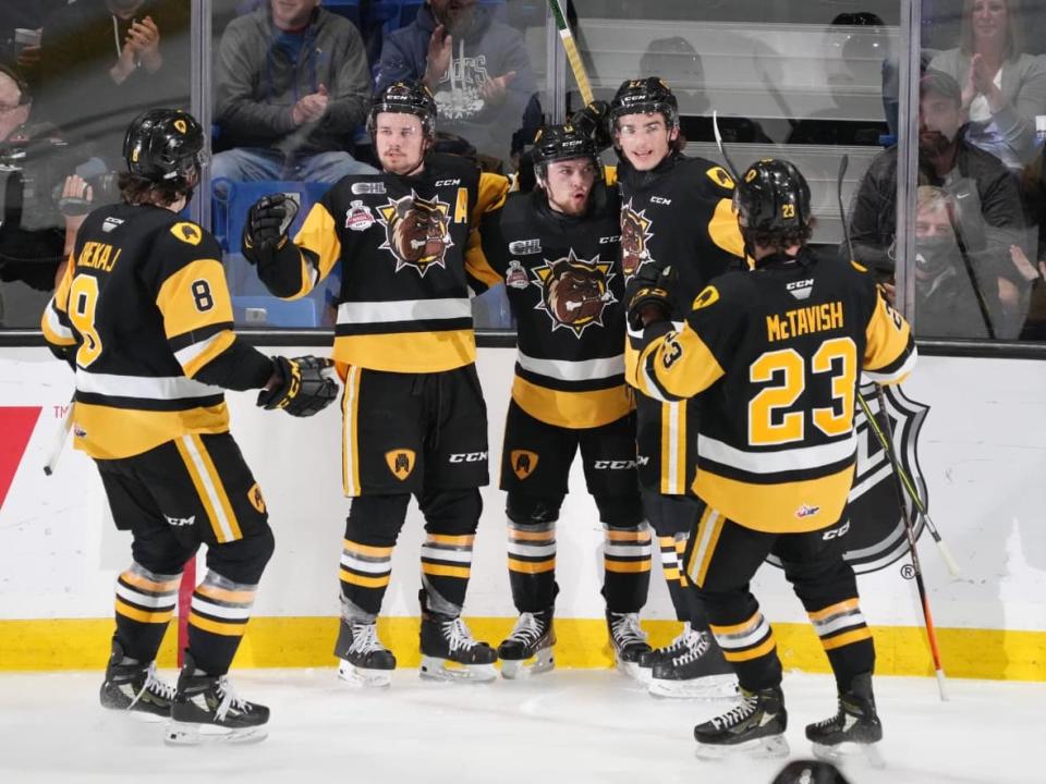 Hamilton Bulldogs to resume training with the Sexual Assault Centre of Hamilton (SACHA) this fall.  (Darren Calabrese/The Canadian Press - image credit)