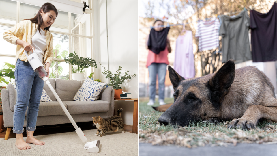 Female maid vacuuming with cat on floor (left) and maid in background hanging clothes while dog lies on grass (Photos: Getty Images)