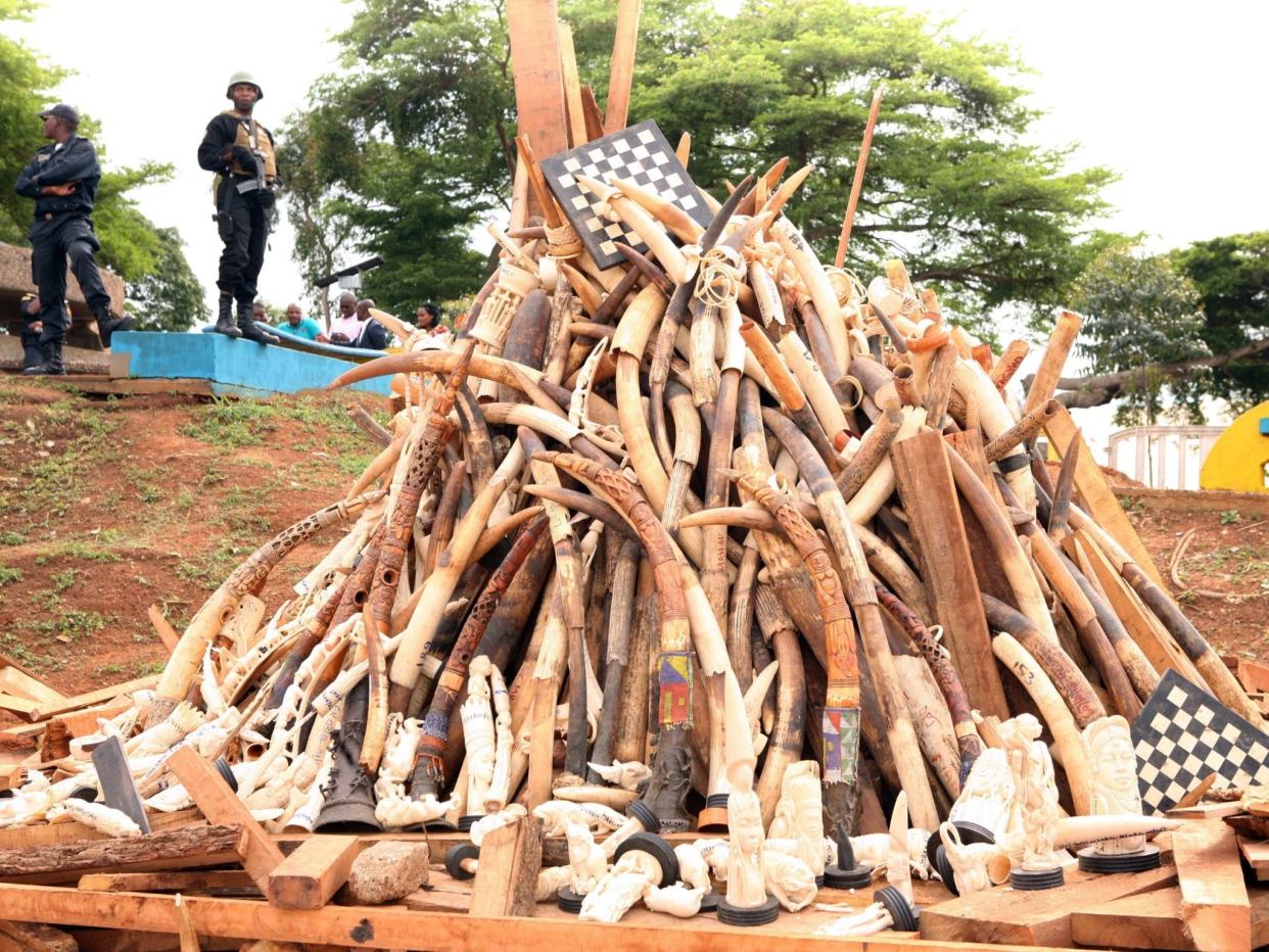 <p>Soldiers in Yaounde stand near a pile of ivory seized from poachers by the Cameroonian Service for the Protection of Wildlife and Forests</p> (Getty)