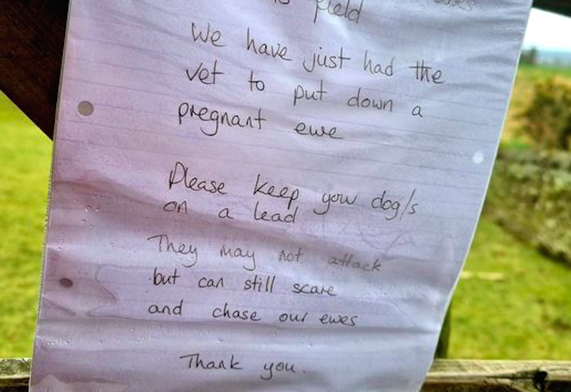 A farmer pinned an emotional note to a gate as a warning to dog walkers. (Cheshire Police Rural Crime Team/Facebook)