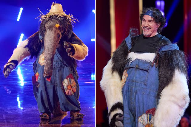 <p>Michael Becker / FOX</p> John Oates as Anteater on The Masked Singer