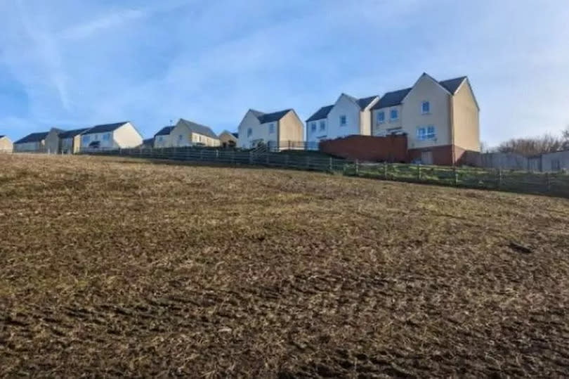 A photograph taken in the application site looking towards neighbouring houses