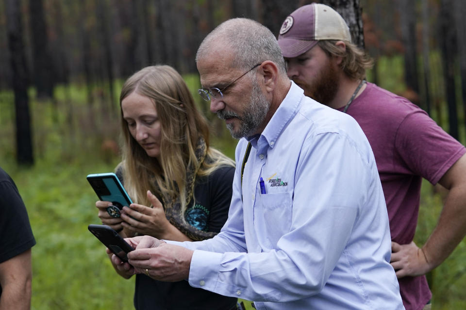 Jeff Zeringue, of the Louisiana Forestry Association, and Andrhea Massey, field biologist and database manager for Colorado State Center for Environment Management of Military Land, based at nearby Fort Polk, take photos during the release of about 100 Louisiana pine snakes, which are a threatened species, in Kisatchie National Forest, La., Friday, May 5, 2023. (AP Photo/Gerald Herbert)