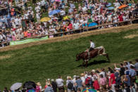 <p>A participant wearing traditional Bavarian lederhosen competes on his ox in the 2016 Muensing Oxen Race (Muensinger Ochsenrennen) on August 28, 2016 in Muensing, Germany. (Photo: Matej Divizna/Getty Images)</p>