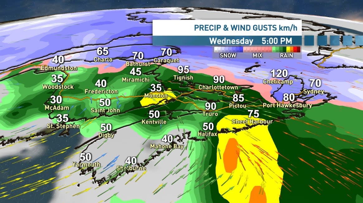 The forecast for Jan. 10, 2024. (Tina Simpkin/CBC - image credit)