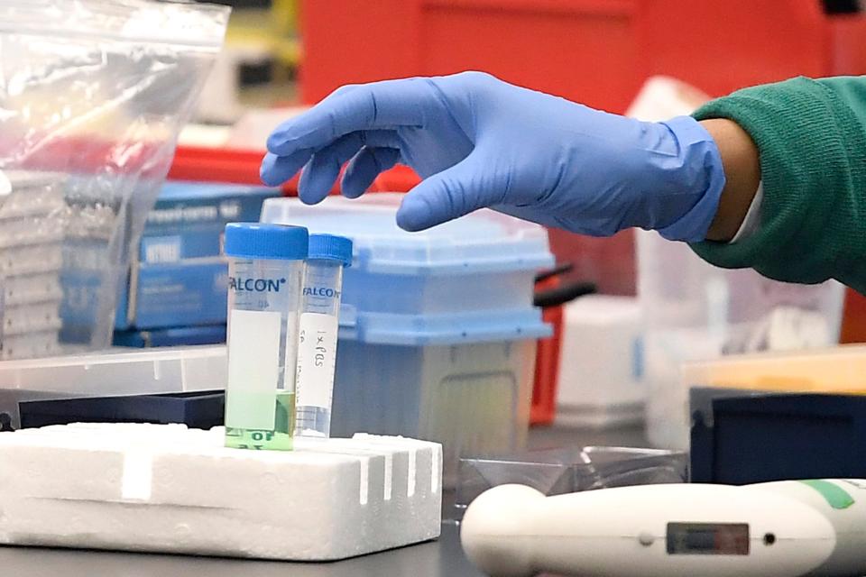 A researcher at Protein Sciences reaches for a vial in a lab.