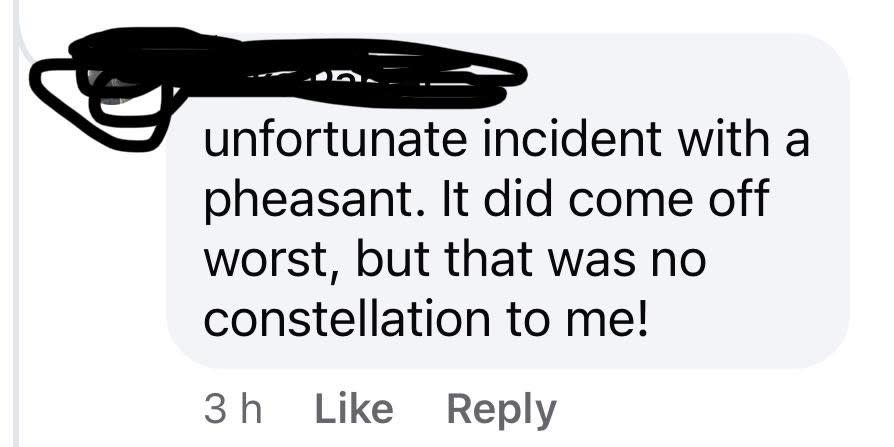 Social media screenshot of a comment about an incident with a pheasant, ending with a mix-up of "consolation" and "constellation."