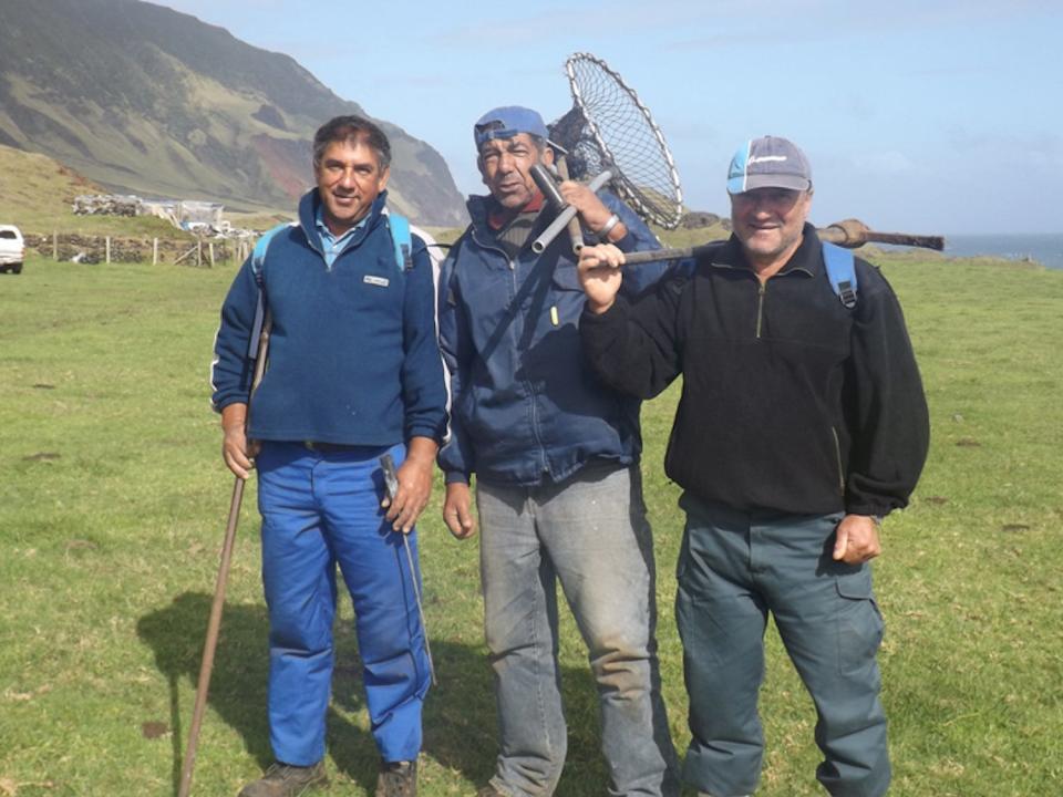 tristan da cunha ratting day