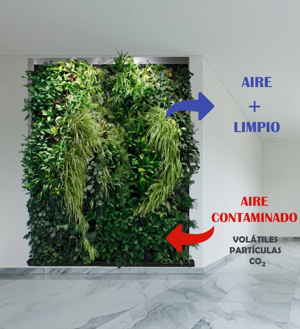 Mejora de la calidad del aire interior por efecto de un jardín vertical. Author provided