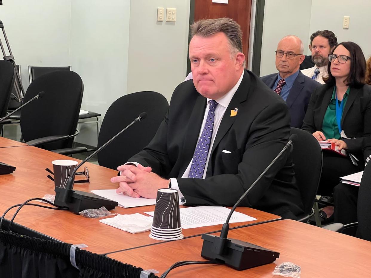 Halifax Regional Municipality Mayor Mike Savage appears at the law amendments committee on Monday. (Jean Laroche/CBC - image credit)