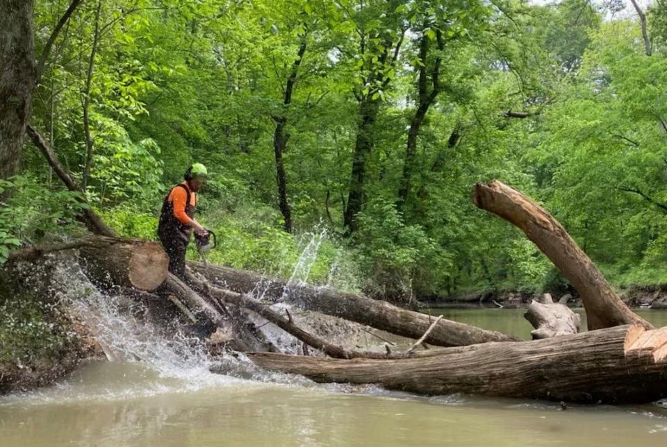 More than 2,000 tons of green debris have already been taken from Beaver Creek.